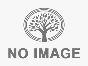 弁理士 丸山亮司 登録番号13676